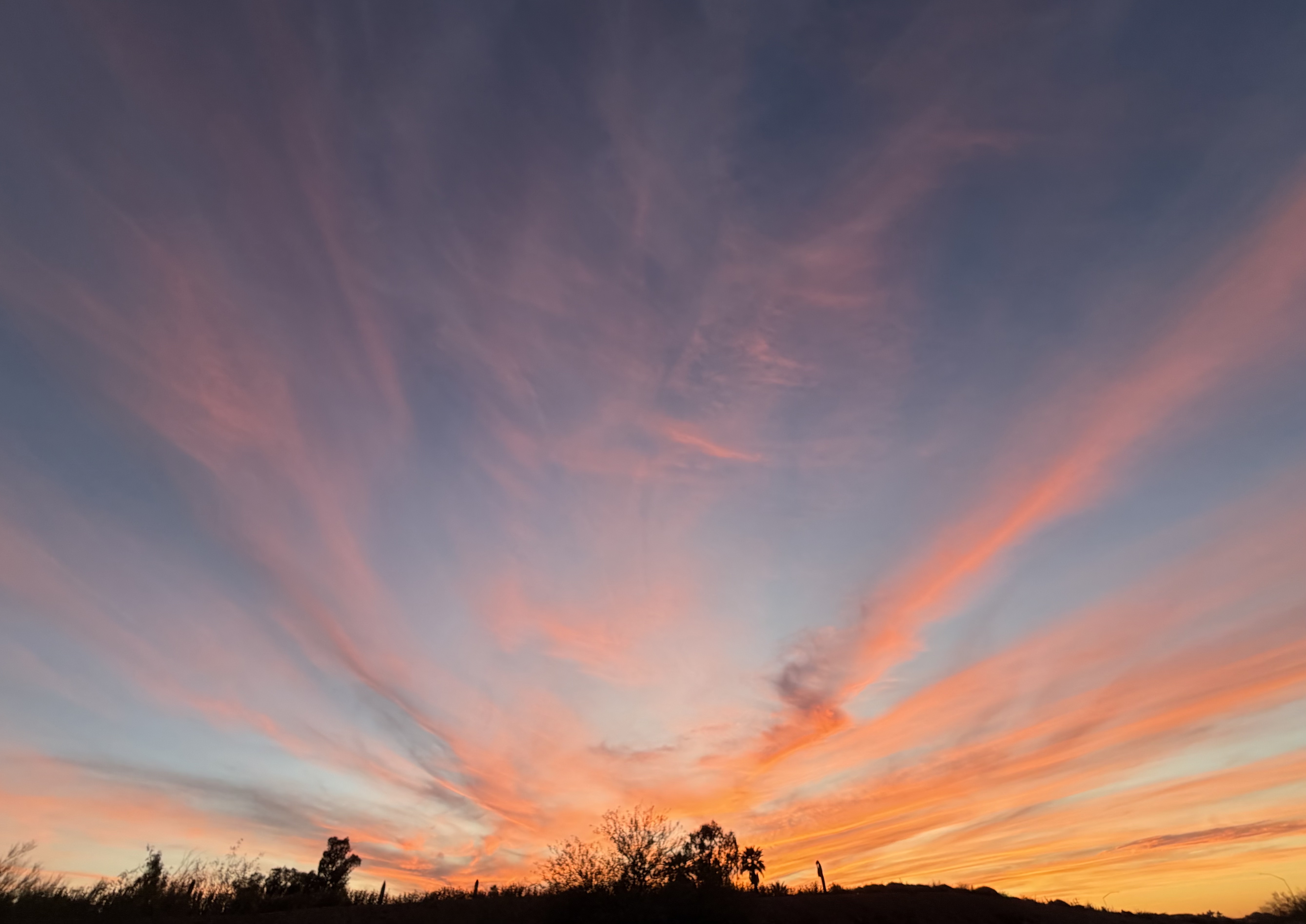 Saturday Skies