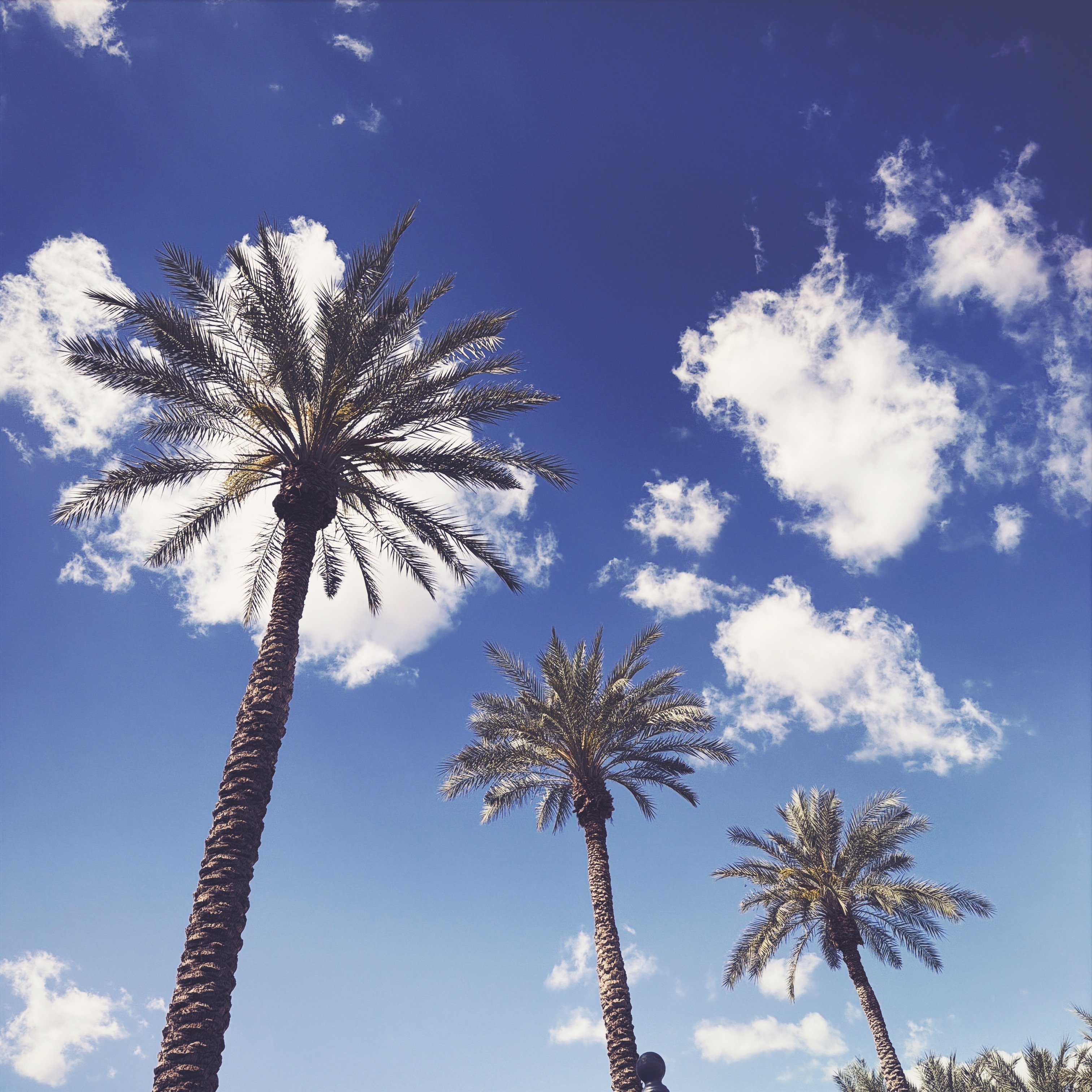 Latest Image of the Day