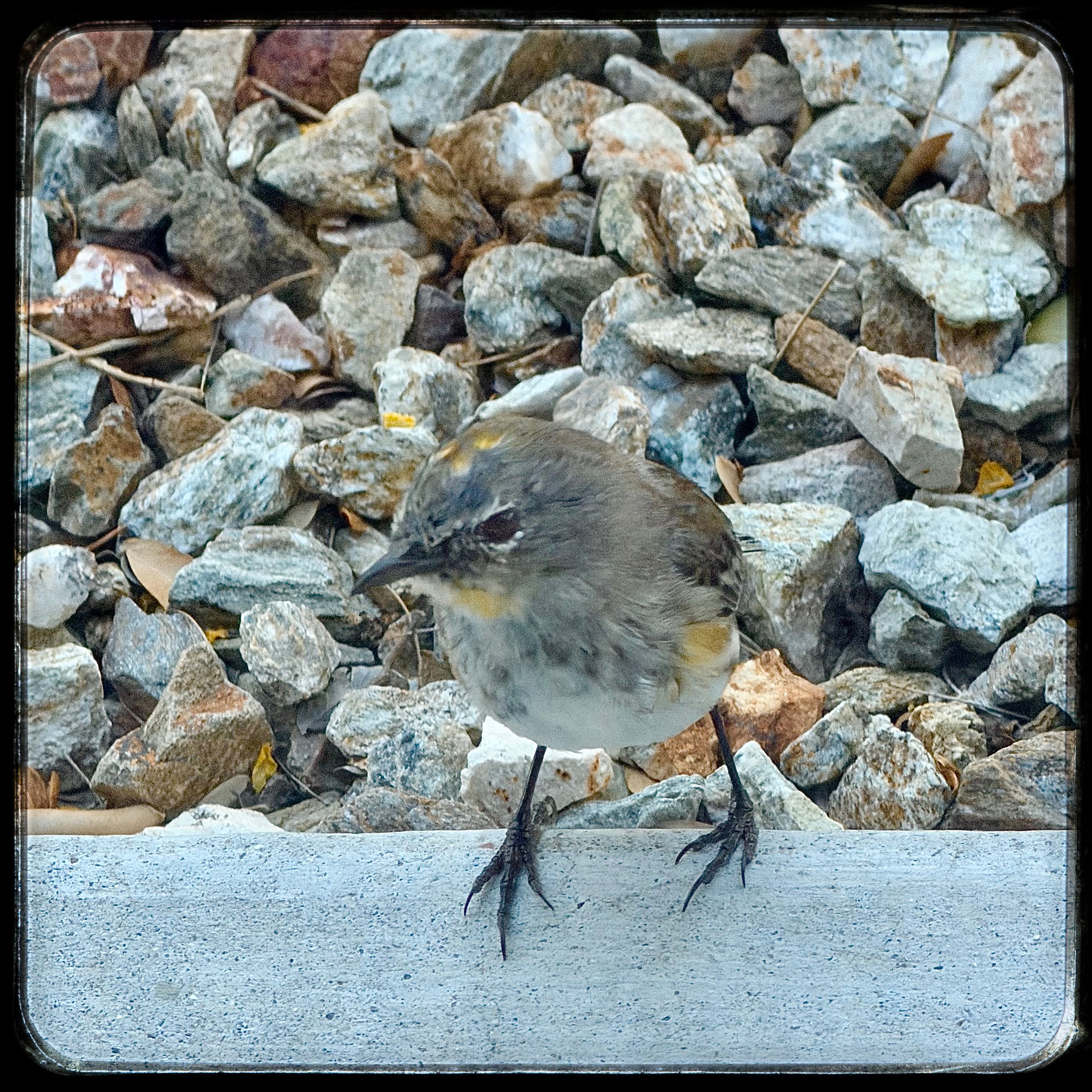 Latest Image of the Day