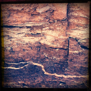 Recovered image from The Swell and Back