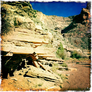 Recovered image from The Swell and Back