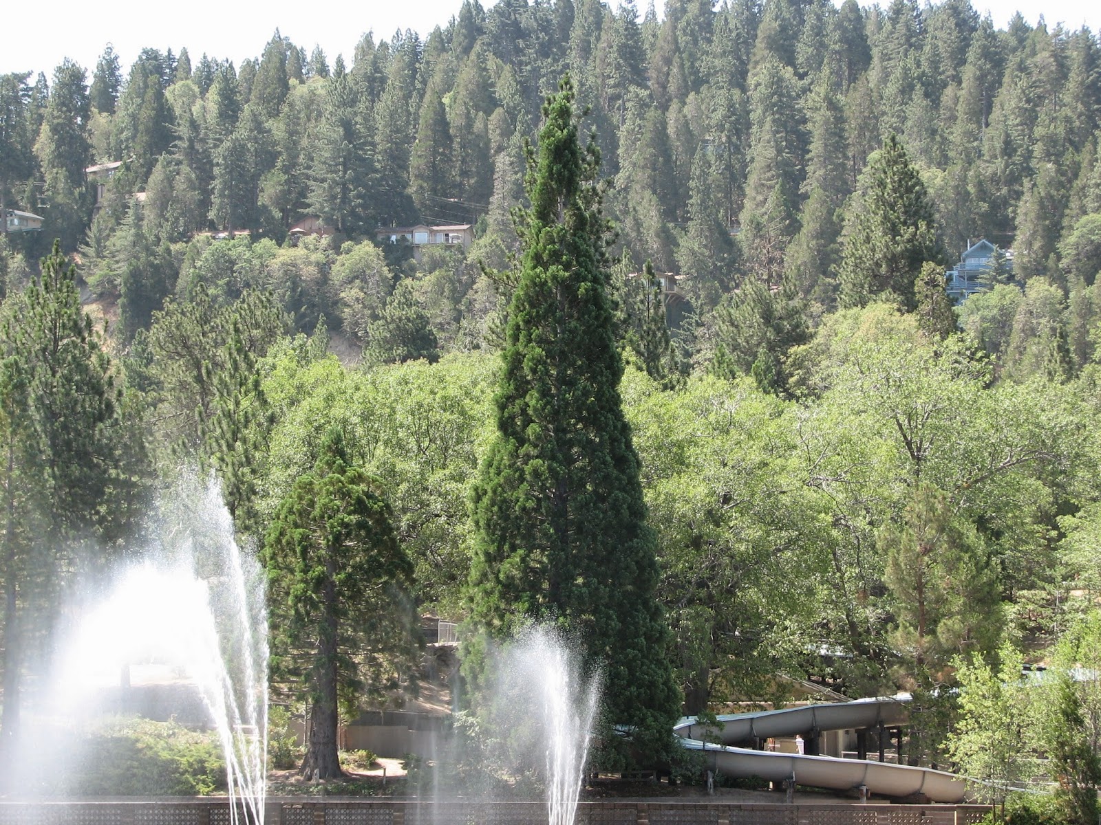 Recovered image from Lake Arrowhead, revisited
