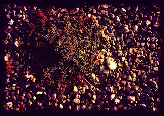 Recovered image from Debut from MiddleUtah