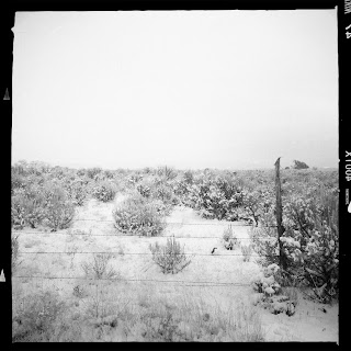Recovered image from Snow on the Sage