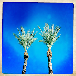 Recovered image from Perfect Blue November Sky