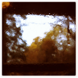 Recovered image from Steamed kitchen glass