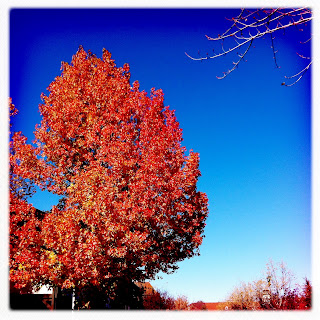 Recovered image from The remnants of color
