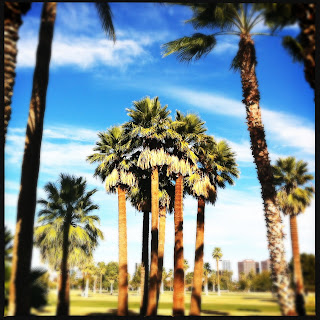 Recovered image from Cluster of palms, city skyline