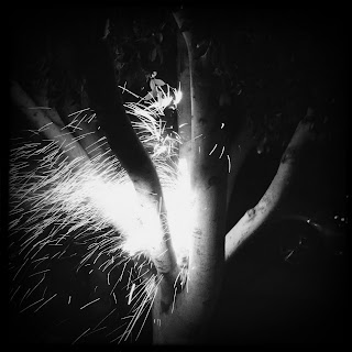 Recovered image from Fireworks + trees