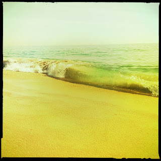 Recovered image from Roll of the tide