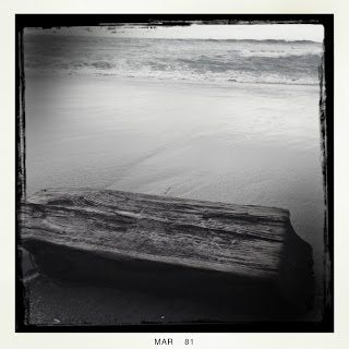 Recovered image from Driftwood