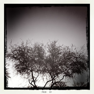 Recovered image from Morning/Palo Verde