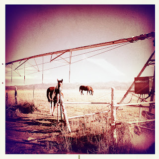 Recovered image from The Old With the New