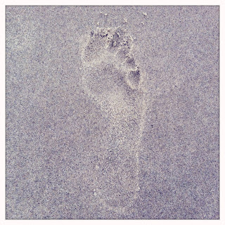 Recovered image from Sandy feet