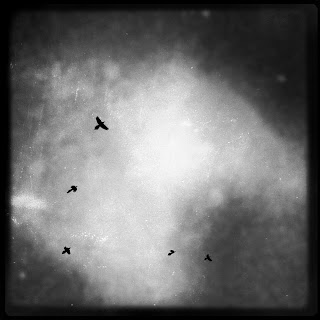 Recovered image from Shadows in Flight