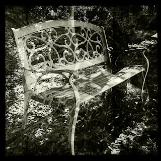 Recovered image from Distortion