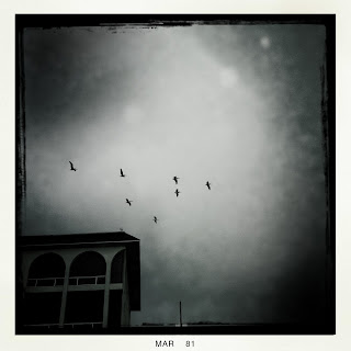 Recovered image from The beach