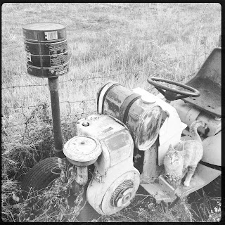 Recovered image from Derelict and Feline