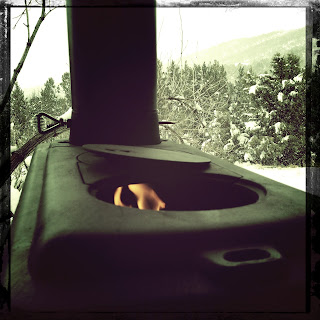 Recovered image from Stove on the porch