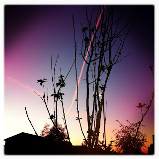 Recovered image from Sunrise contrail through the blossoming plum