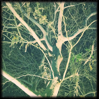 Recovered image from Exterior lighting