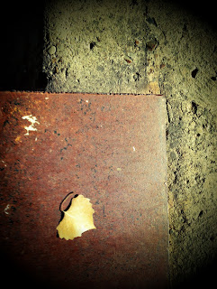 Recovered image from Iron, concrete, and another leaf