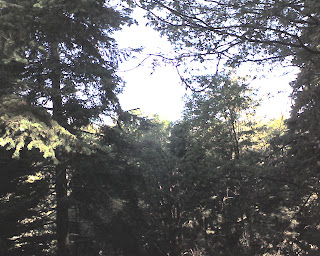 Recovered image from At the cabin