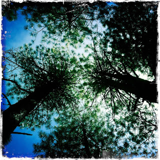 Recovered image from Nature and other hidden things