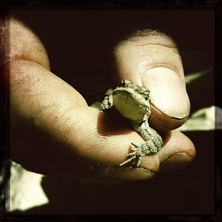Recovered image from Blue Ridge Reservoir