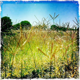 Recovered image from My excursion