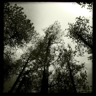 Recovered image from Nature and other hidden things