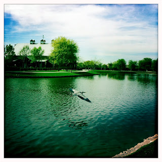 Recovered image from Blue Heron