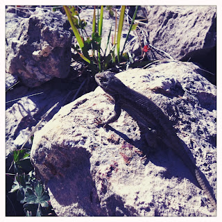 Recovered image from Blue Ridge Reservoir
