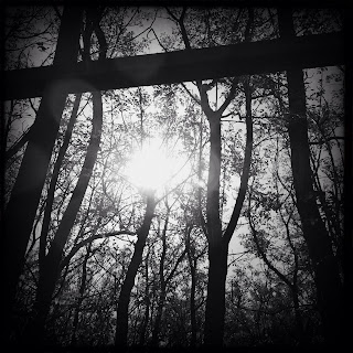 Recovered image from Hipstamatic Farms