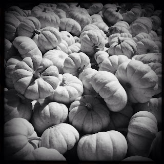 Recovered image from Hipstamatic Farms