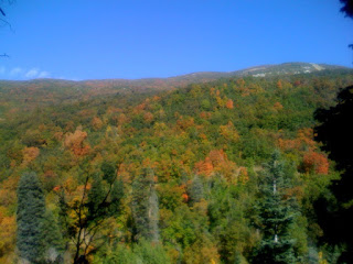 Recovered image from A view from the hike