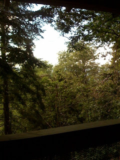 Recovered image from At the cabin