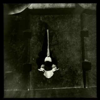 Recovered image from Iron and Bone
